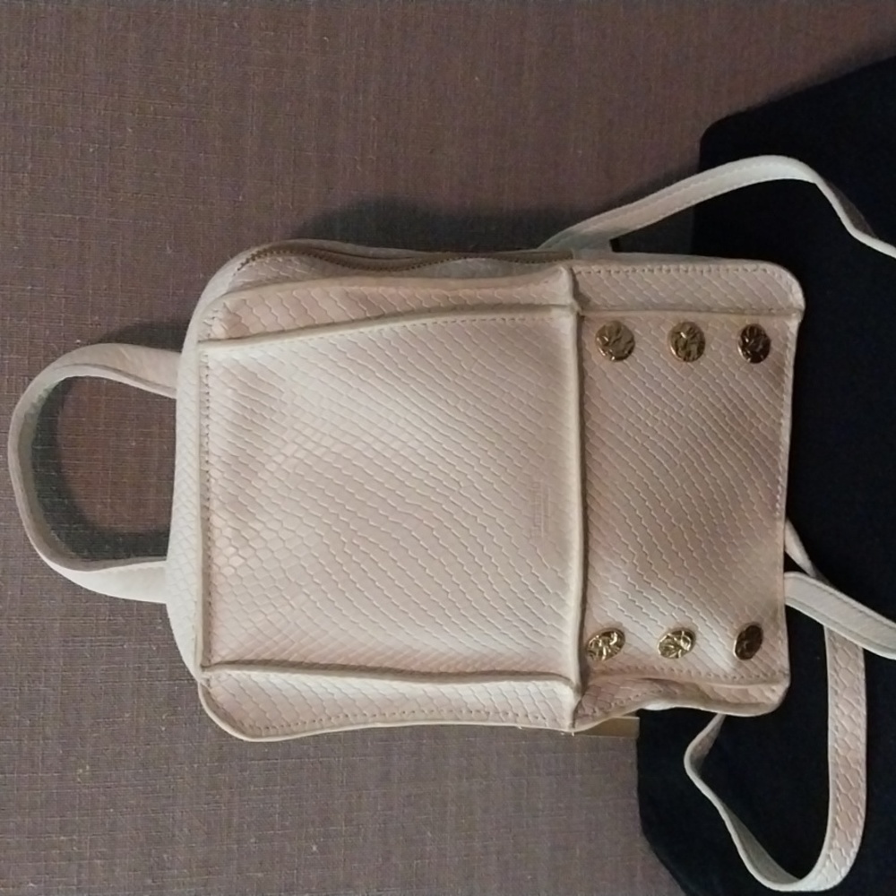 Hammitt Backpack Purse